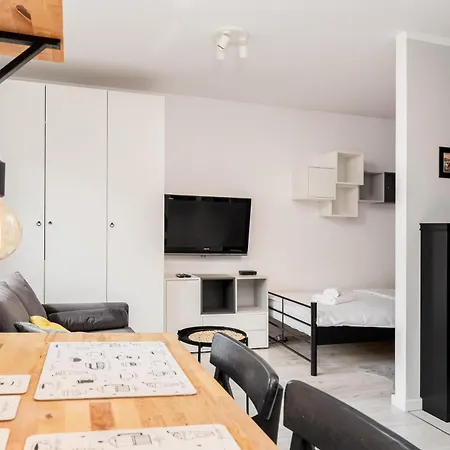 Pekowicka Modern Daire *